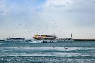 Birds Flying Near Ferries on Body of Water