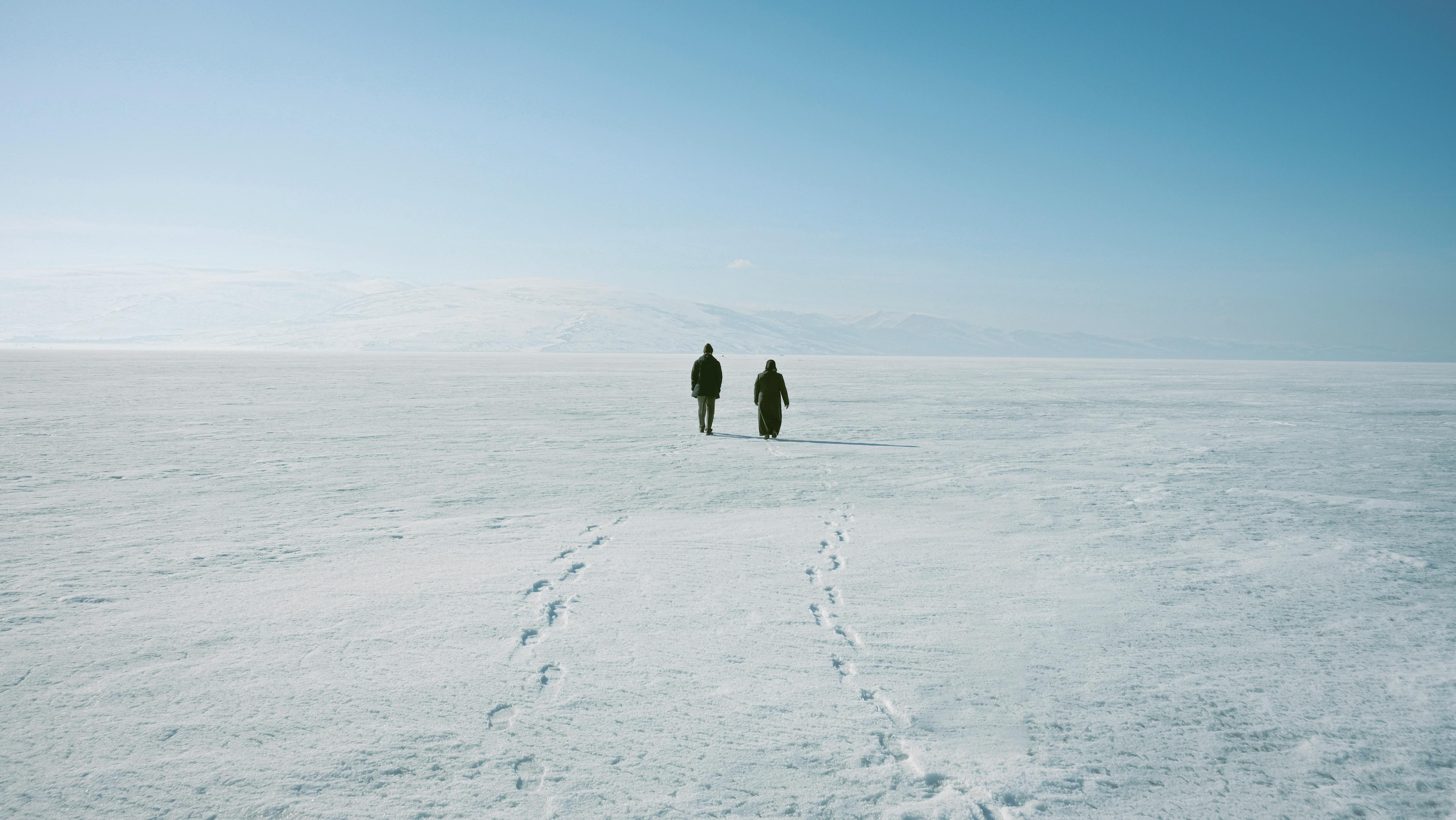 1,000+ Best Carbon Footprint Photos · 100% Free Download · Pexels Stock