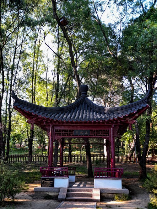 Red and Black Gazebo Surrounded by Green Trees