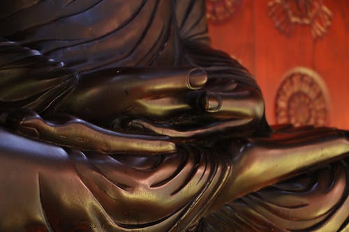 Foto d'estoc gratuïta de bhikku, Buda, Budisme