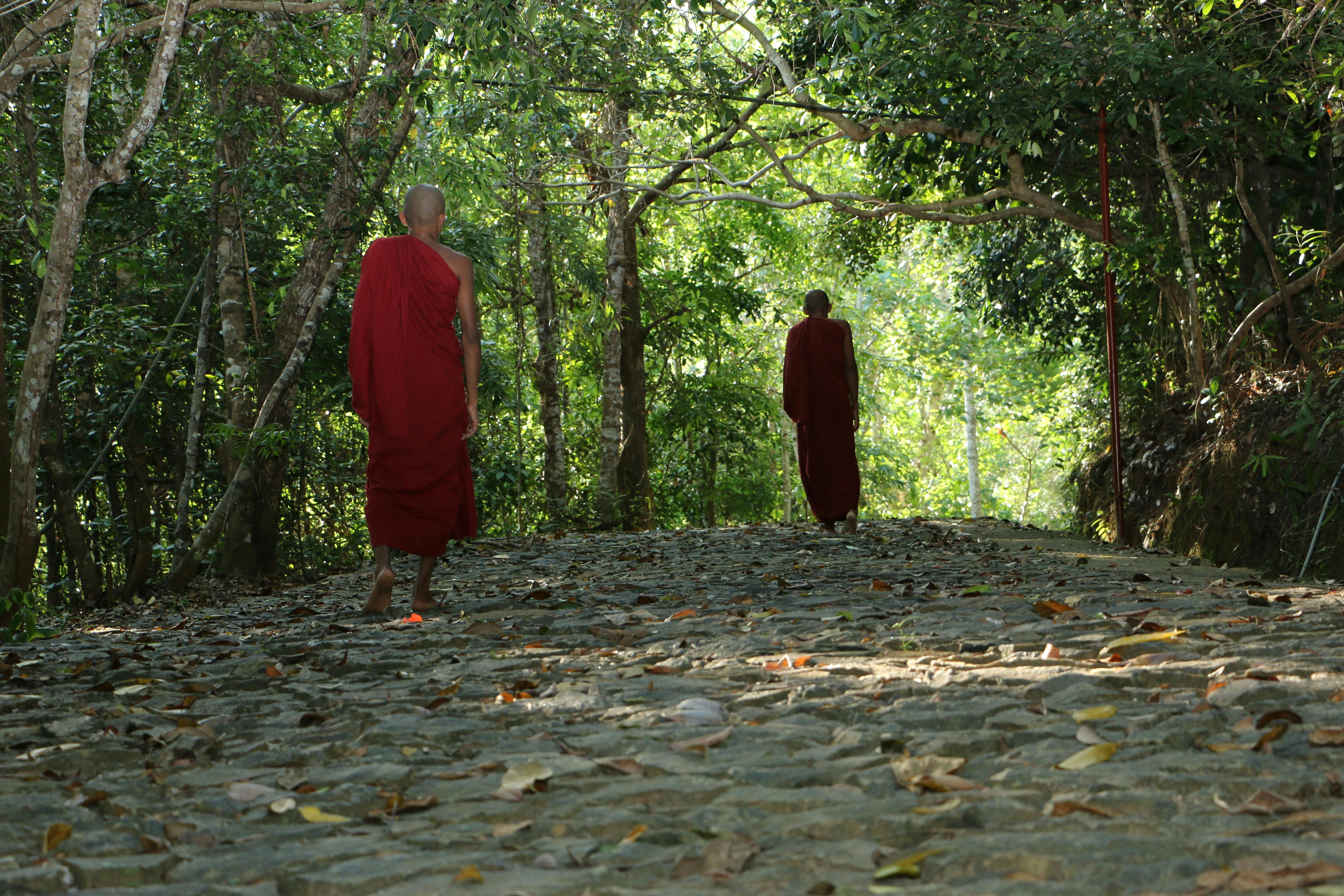 buddhist art in different countries slik road