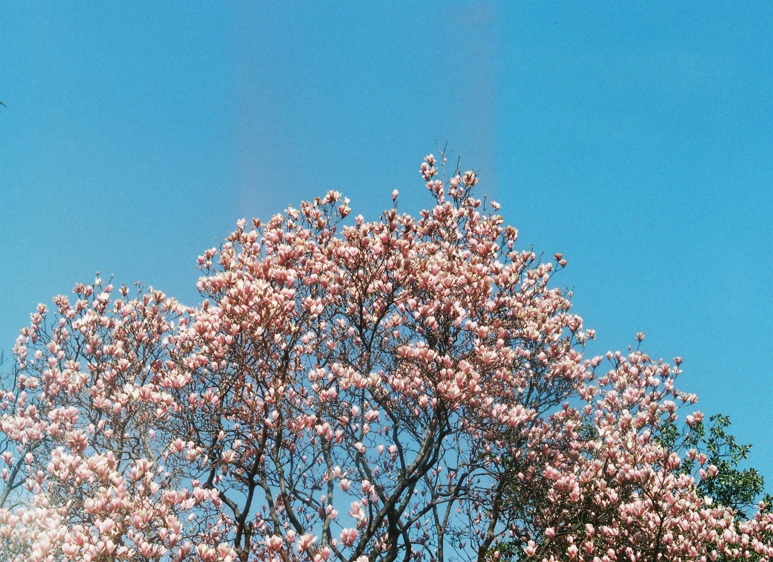 工作人员在会议室中讨论药品申报材料的差异对比结果