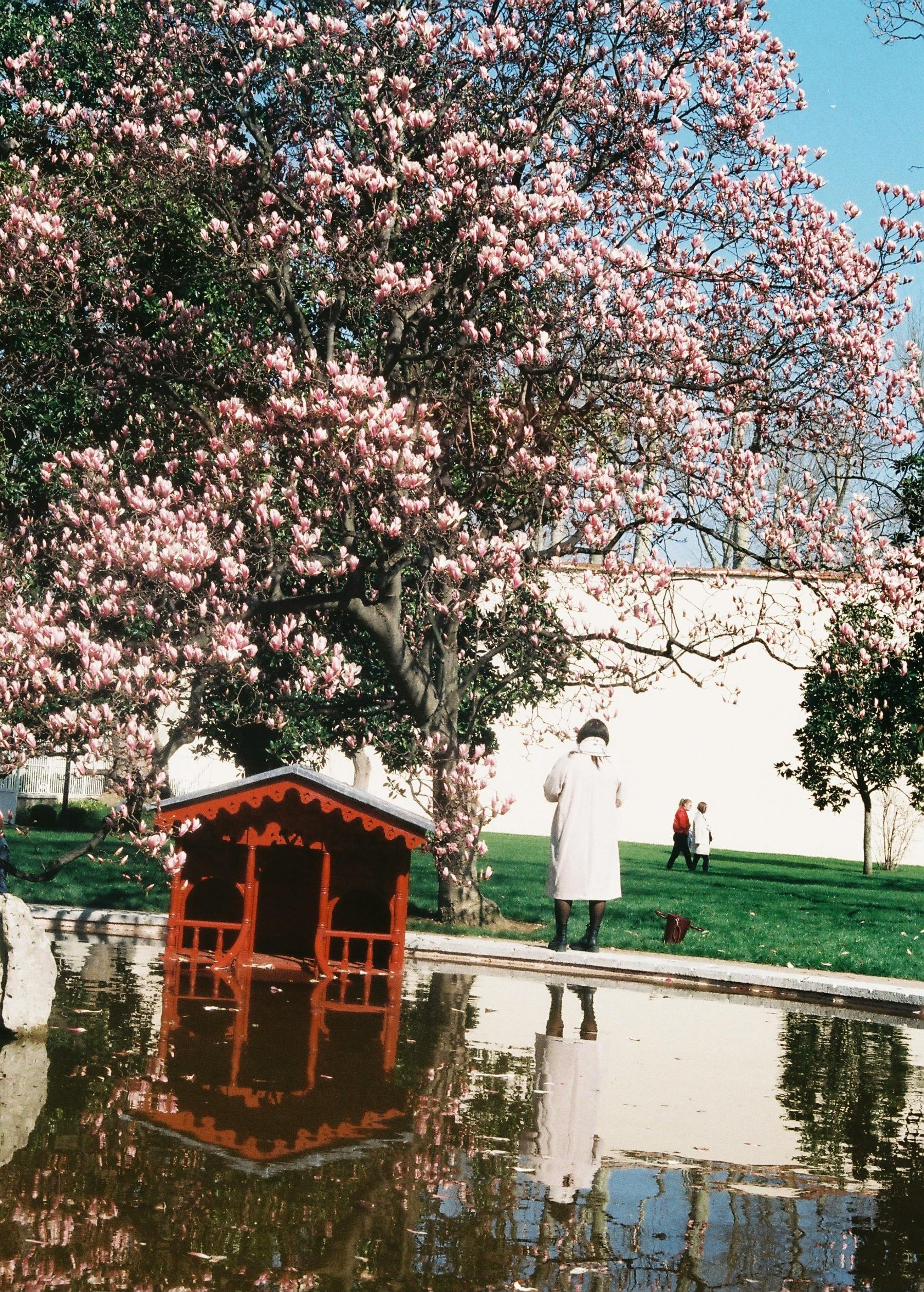 办公桌上的笔记本电脑显示文档对比界面