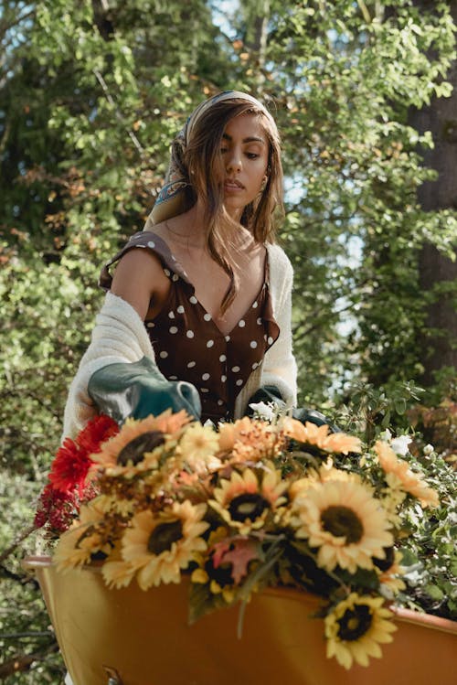Woman in Polka Dot Dress Harvesting Sunflowers