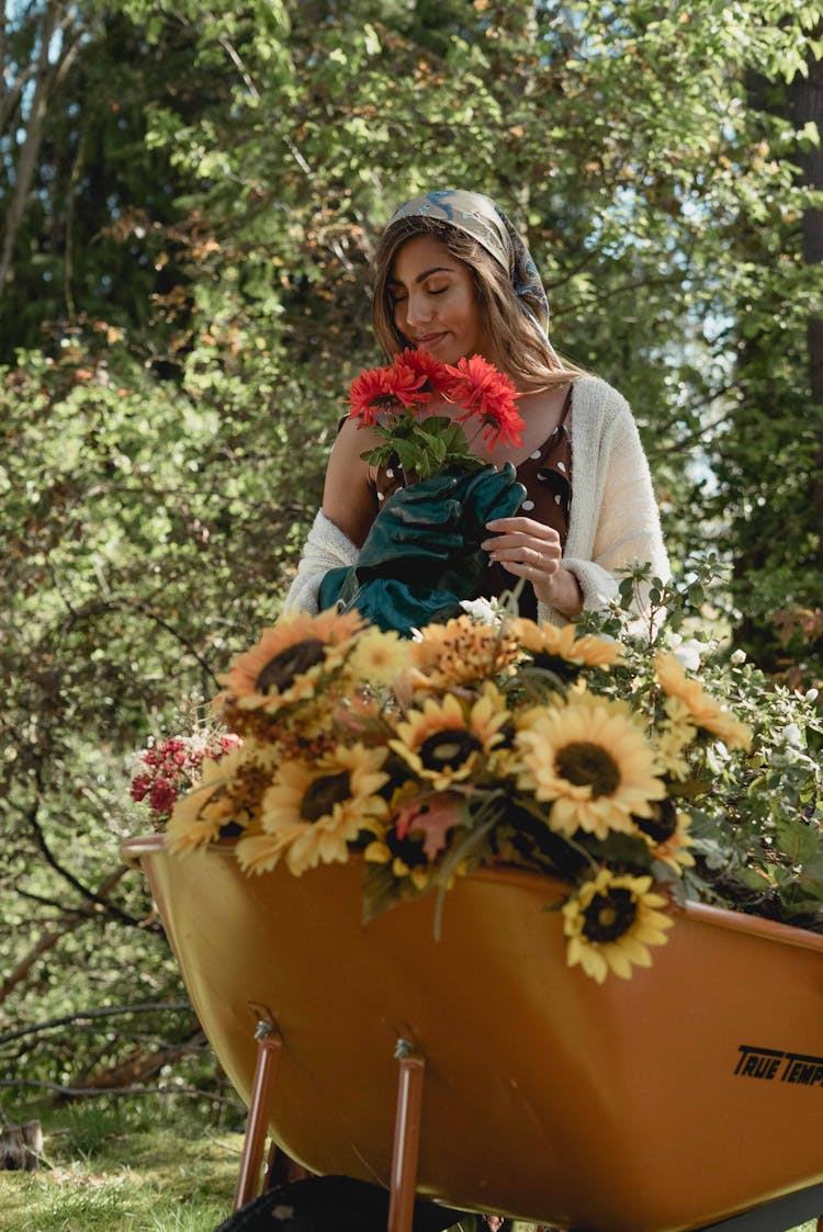 Woman With Wheelbarrow Of Flowers