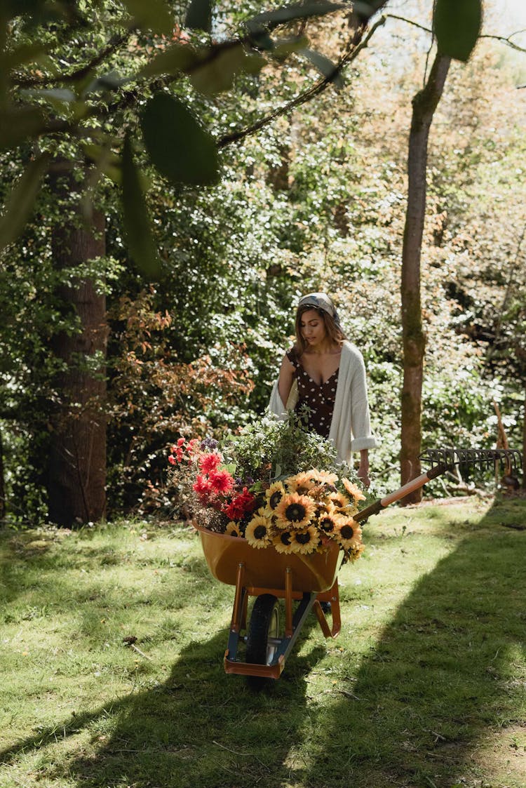 A Woman Pushing A Wheelbarrow