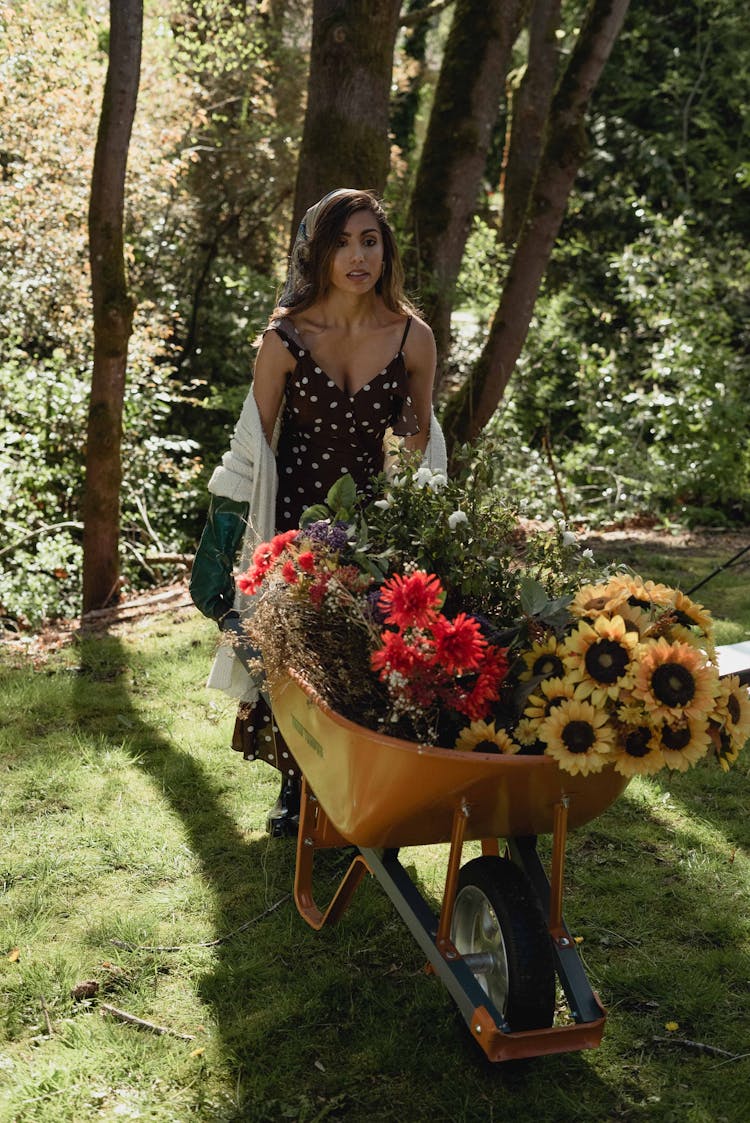 Woman Pushing Wheelbarrow With Flowers