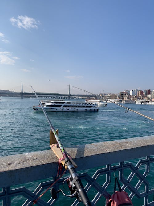 Fotos de stock gratuitas de barco, caña de pescar, crucero