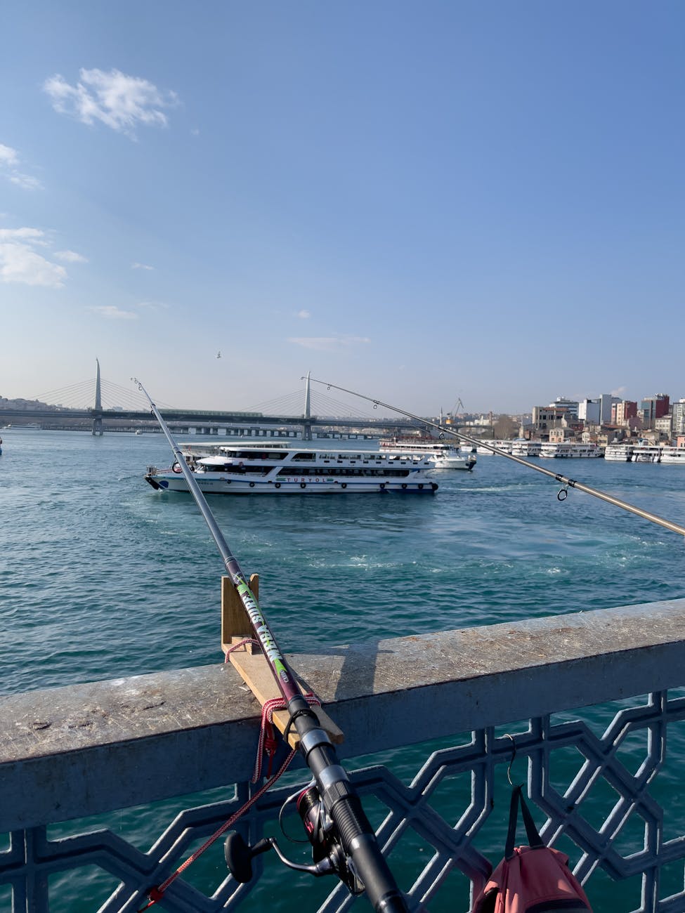 Carnival Cruise Line Resource