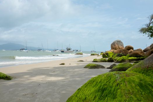 Mossy Boulders on Shore 