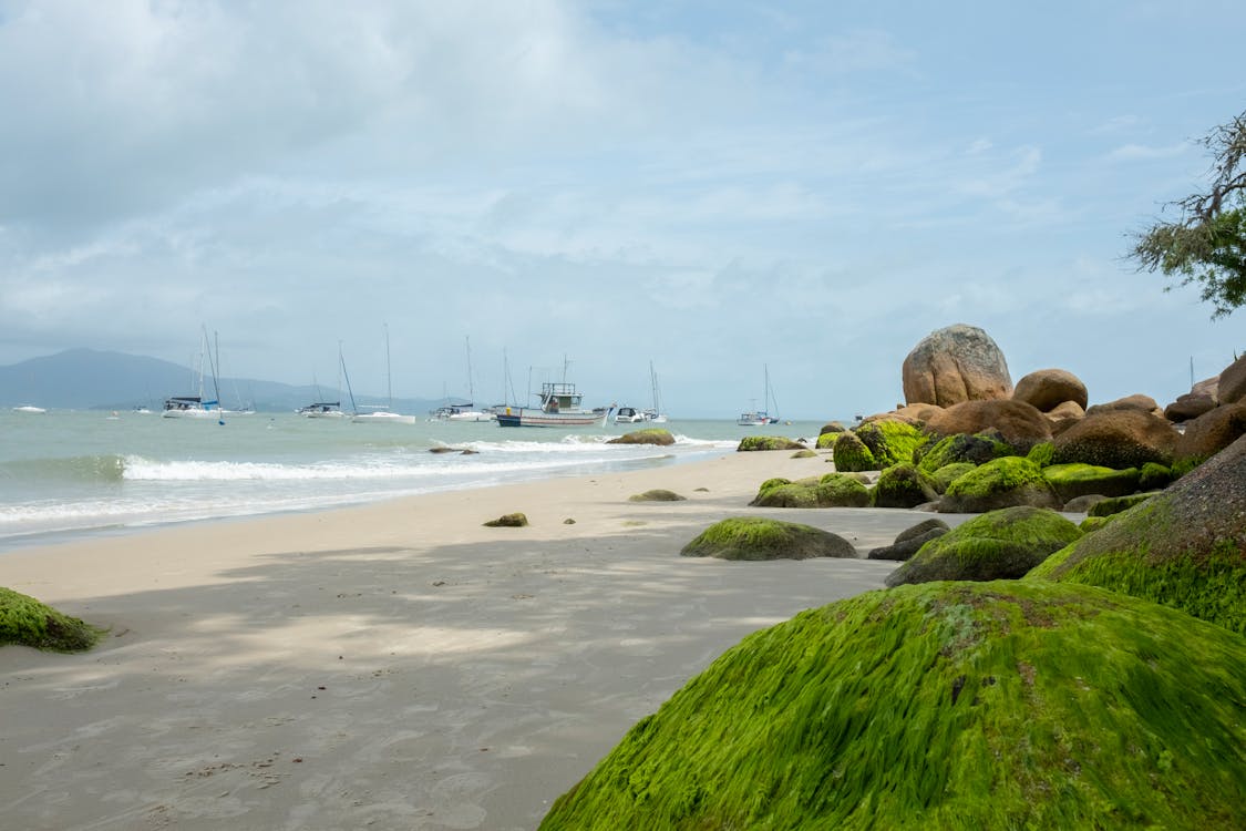 คลังภาพถ่ายฟรี ของ ก้อนหิน, ชายหาด, ธรรมชาติ