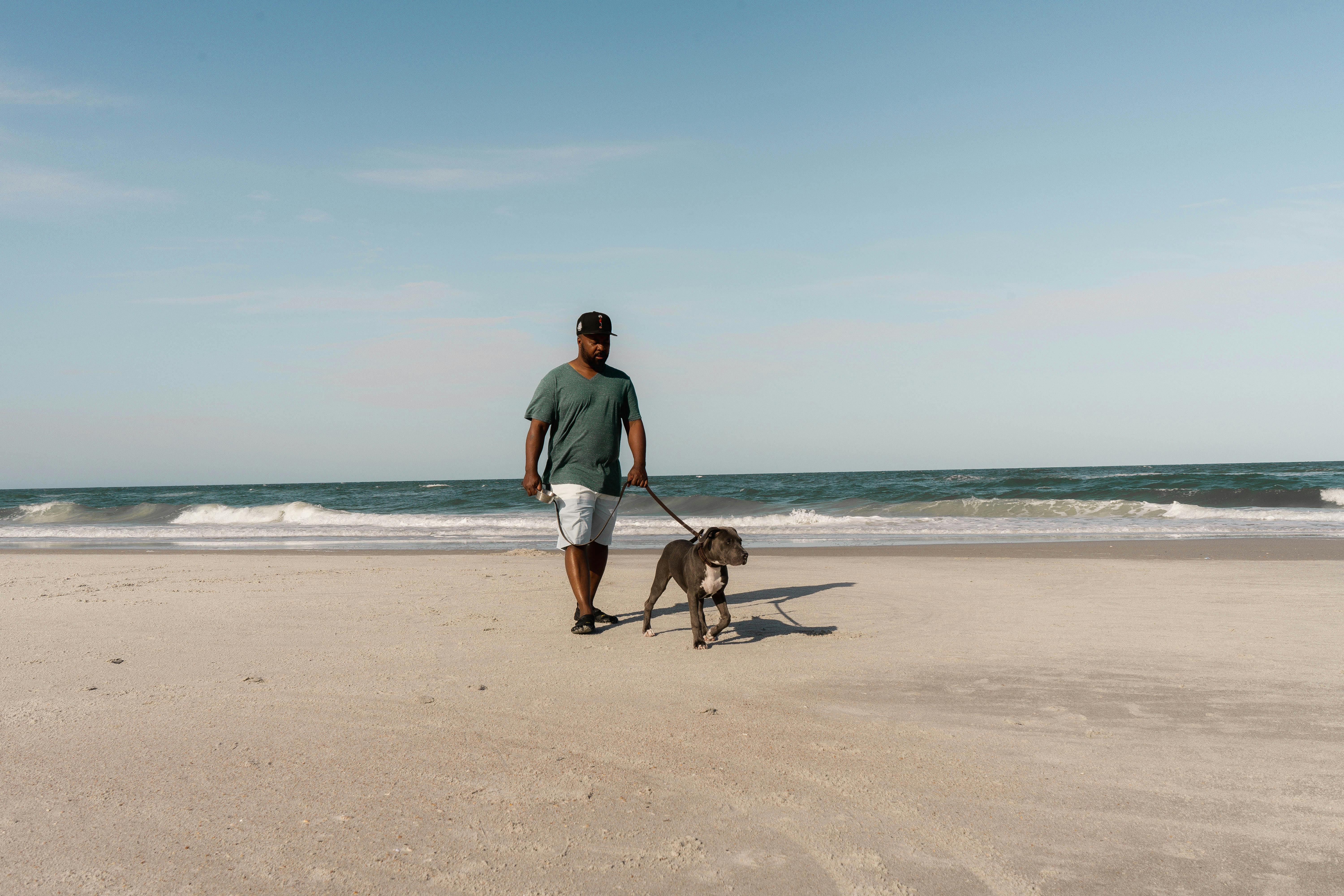A serene moment of a man and dog walking along the sandy shore of Jacksonville Beach.