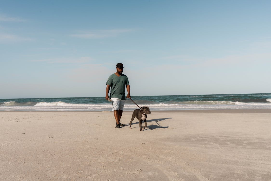 Free A Man Walking Together with His Dog on a Beach Stock Photo