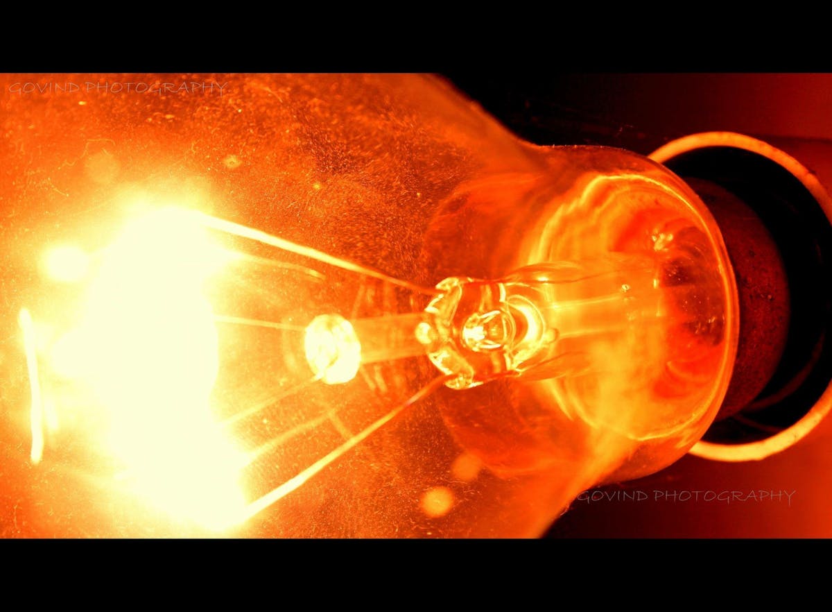 The 5 Most Destructive Pests in Westchester & Rockland County — And How to Stop Them