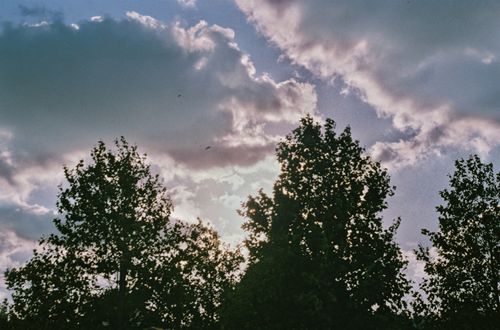 Free Silhouettes of trees illuminated by sunlight with partly cloudy sky above. Stock Photo
