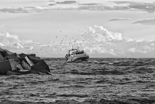 一幅黑白戏剧性图像中，海上一艘渔船被一群鸟环绕