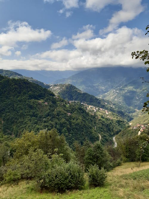 A Green Trees on Mountain Under the White Clouds and Blue Sky