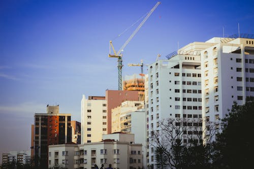 Free stock photo of building