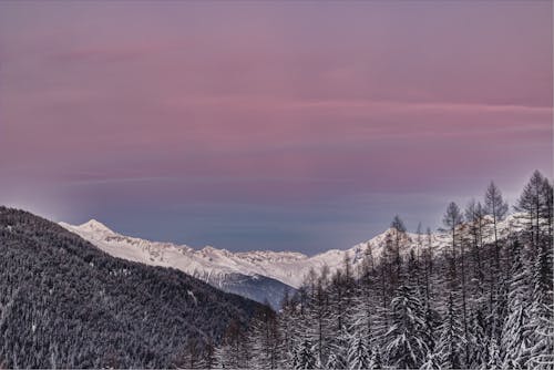 Kostenlos Foto Der Berge Mit Schnee Bedeckt Und Mit Bäumen Umgeben Stock-Foto