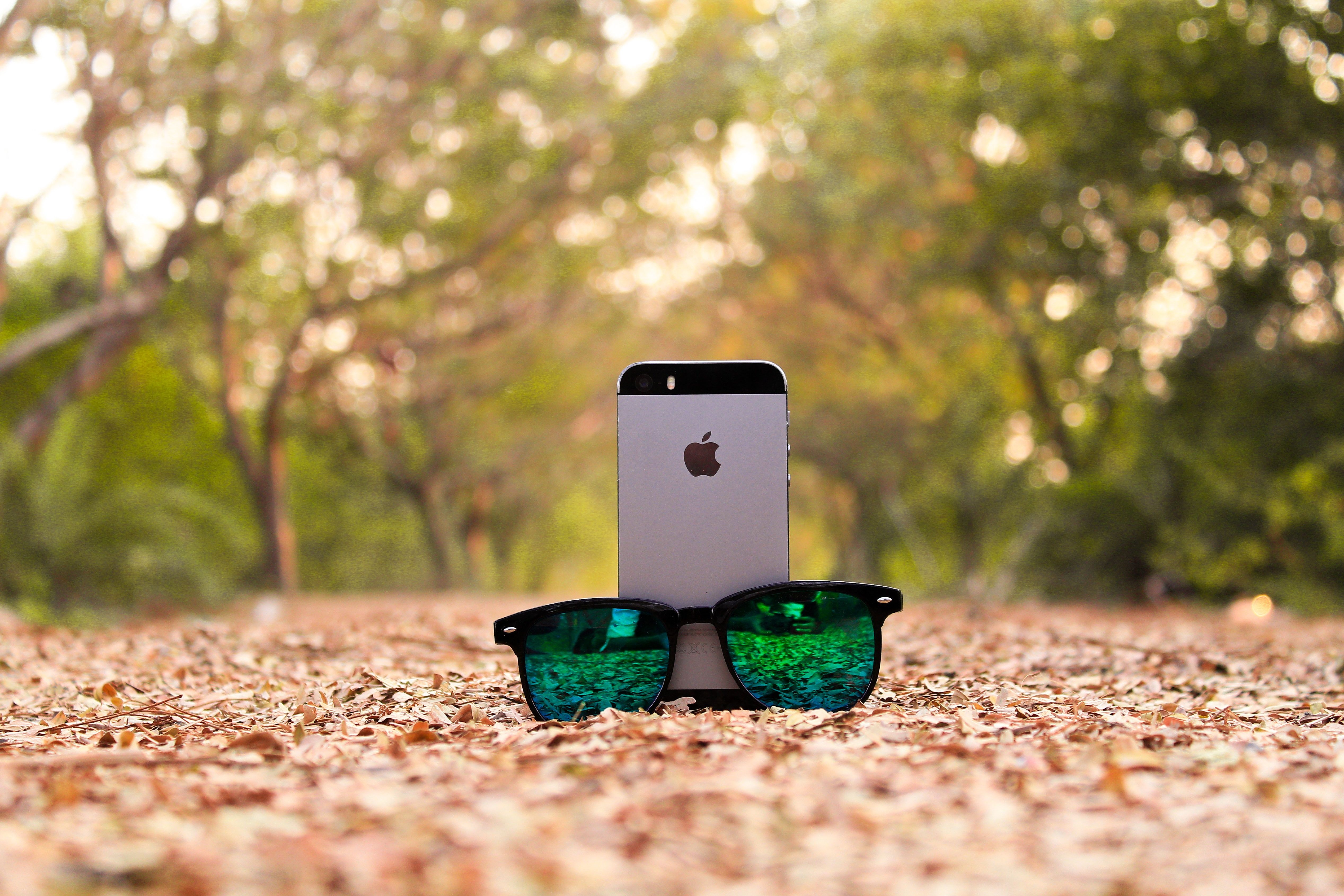 Free stock photo of canon, canon_offical, dslr