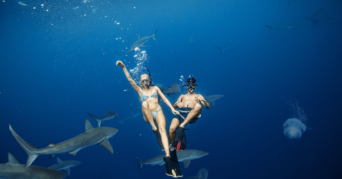 How do sharks mate and give birth