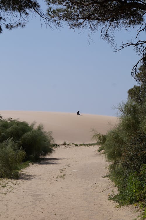 Free stock photo of dune, meditation, sand