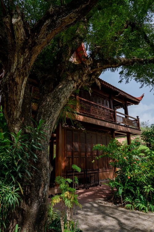 Free Charming traditional wooden house surrounded by lush greenery under a vibrant tree. Stock Photo