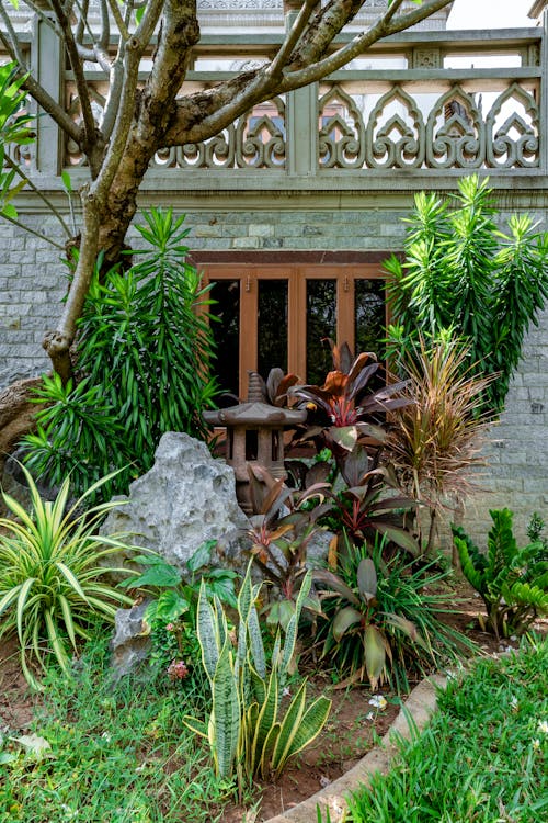 бесплатная Бесплатное стоковое фото с ботанический, газон, двор Стоковое фото
