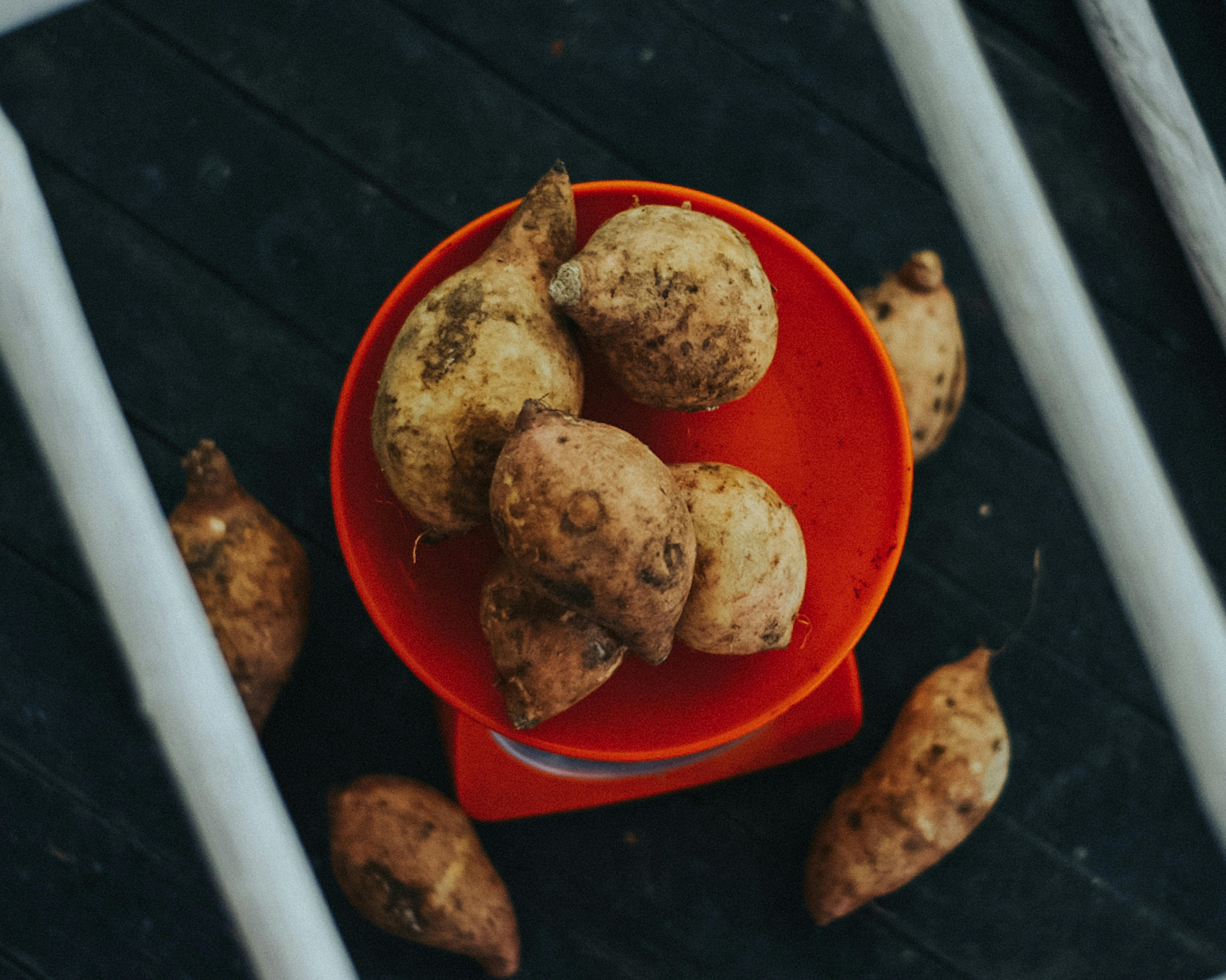 Top view of sweet potatoes on a red plate, perfect for healthy food concepts.