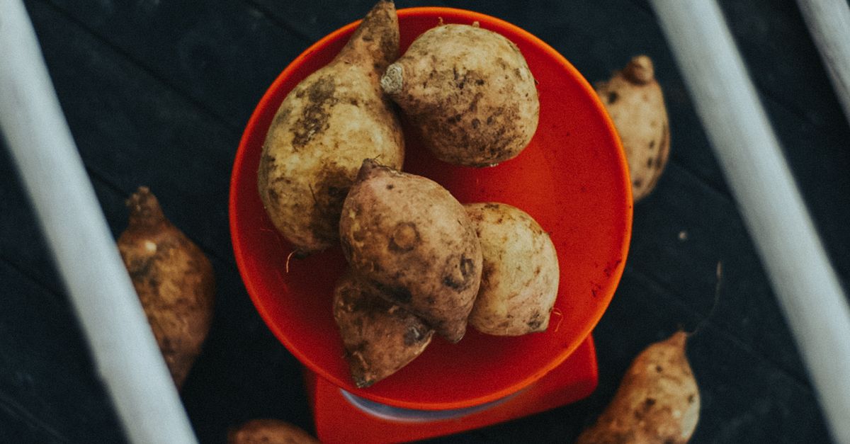 air potato