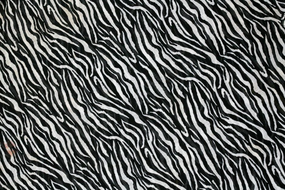 High-contrast black and white zebra pattern ideal for wallpaper and textiles.