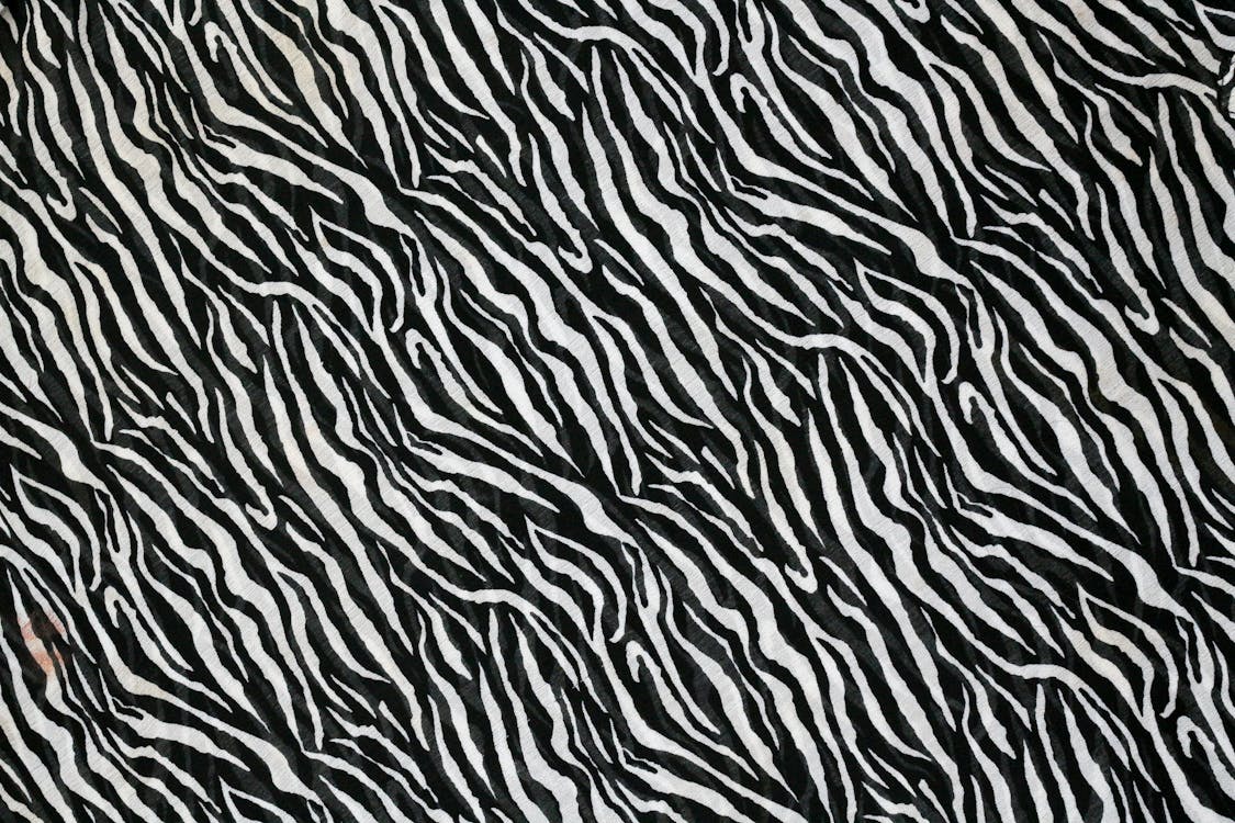 Black and White Animal Print Wallpaper · Free Stock Photo