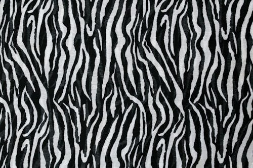 Black and White Animal Print Surface