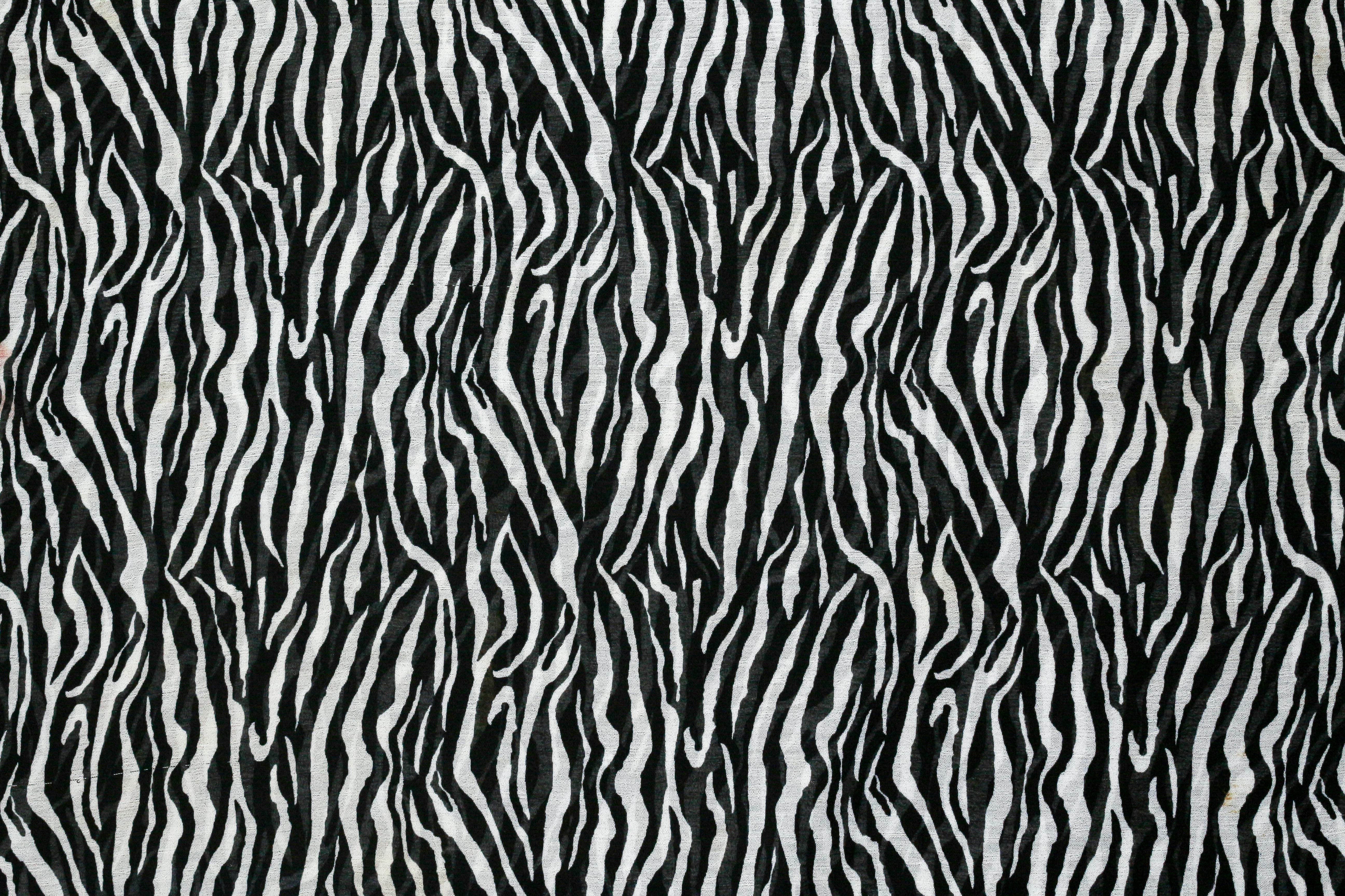 Leopard print pattern black and white hi-res stock photography and