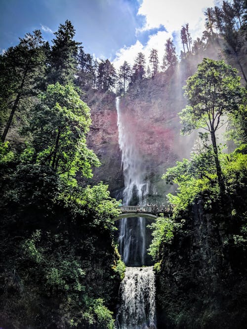 Free stock photo of multnomah falls, oregon, waterfall Stock Photo