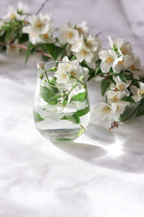 Free Elegant white jasmine flowers in a glass vase on a marble surface, illuminated by soft daylight. Stock Photo