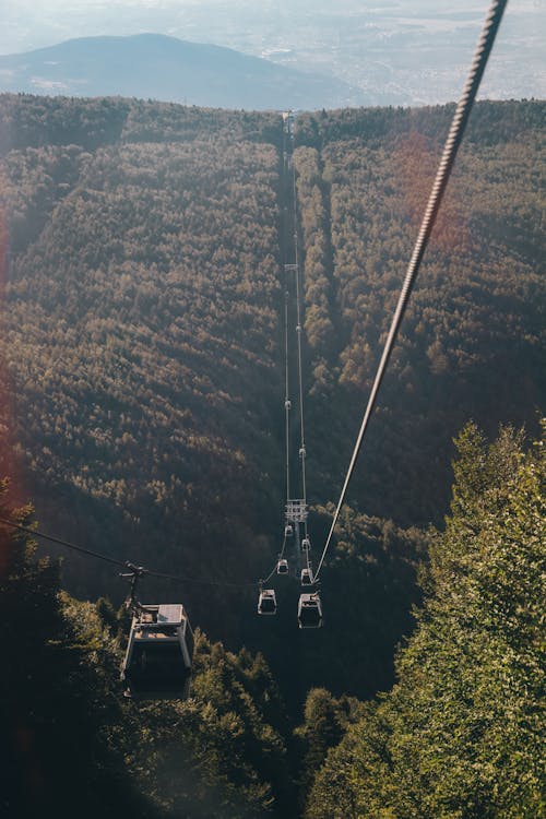 Cable Cars Passing a Forest
