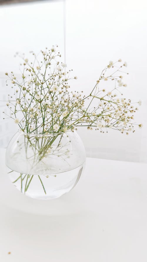 White Flowers in Clear Glass Fish Bowl