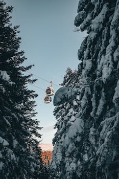 Cable cars glide through a tranquil snowy forest, offering a picturesque winter landscape view.