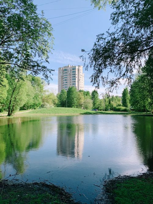 Free A serene view of a park in St. Petersburg featuring a clear reflection of a building on a pond. Stock Photo