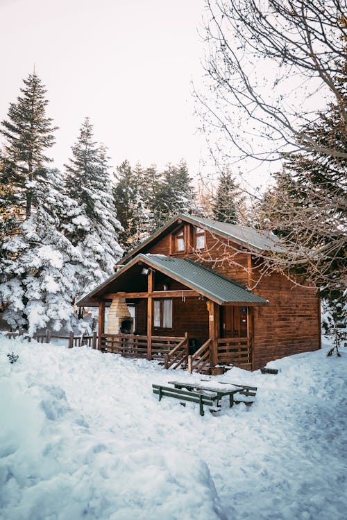 Winter landscape with wooden cottage in snowy forest