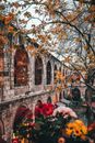 Arched passage of old stone building