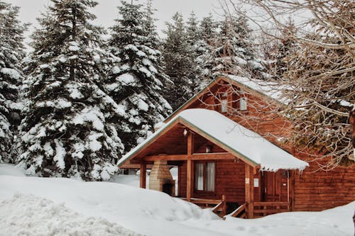 Gratis stockfoto met bomen, huis, met sneeuw bedekt