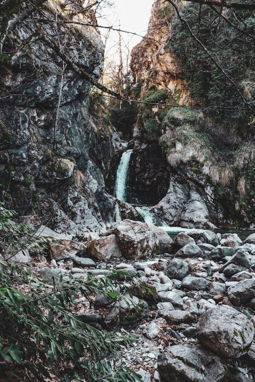 Fotos de stock gratuitas de agua que fluye, arboles, cascada