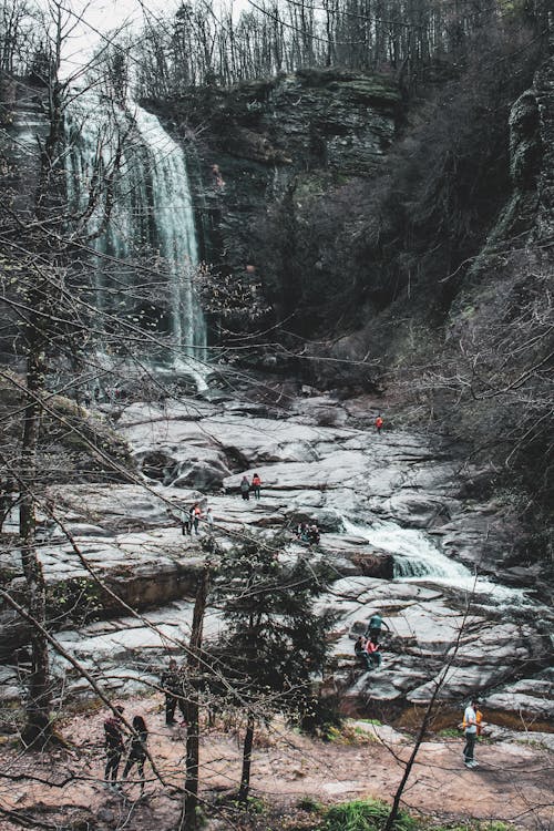 Foto profissional grátis de ao ar livre, árvores nuas, aventura