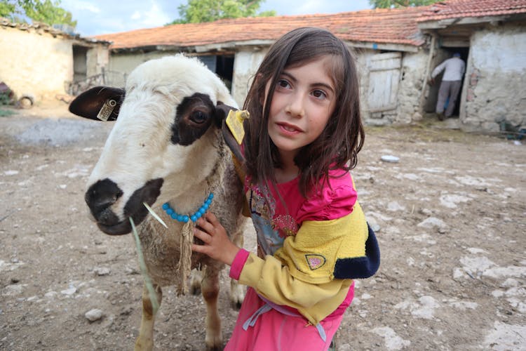 Village Girl With A Sheep