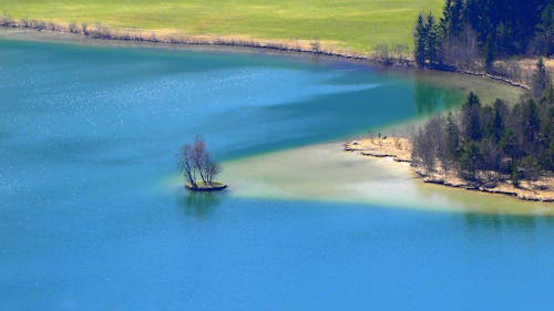 Areal View Of Body Of Water And Trees