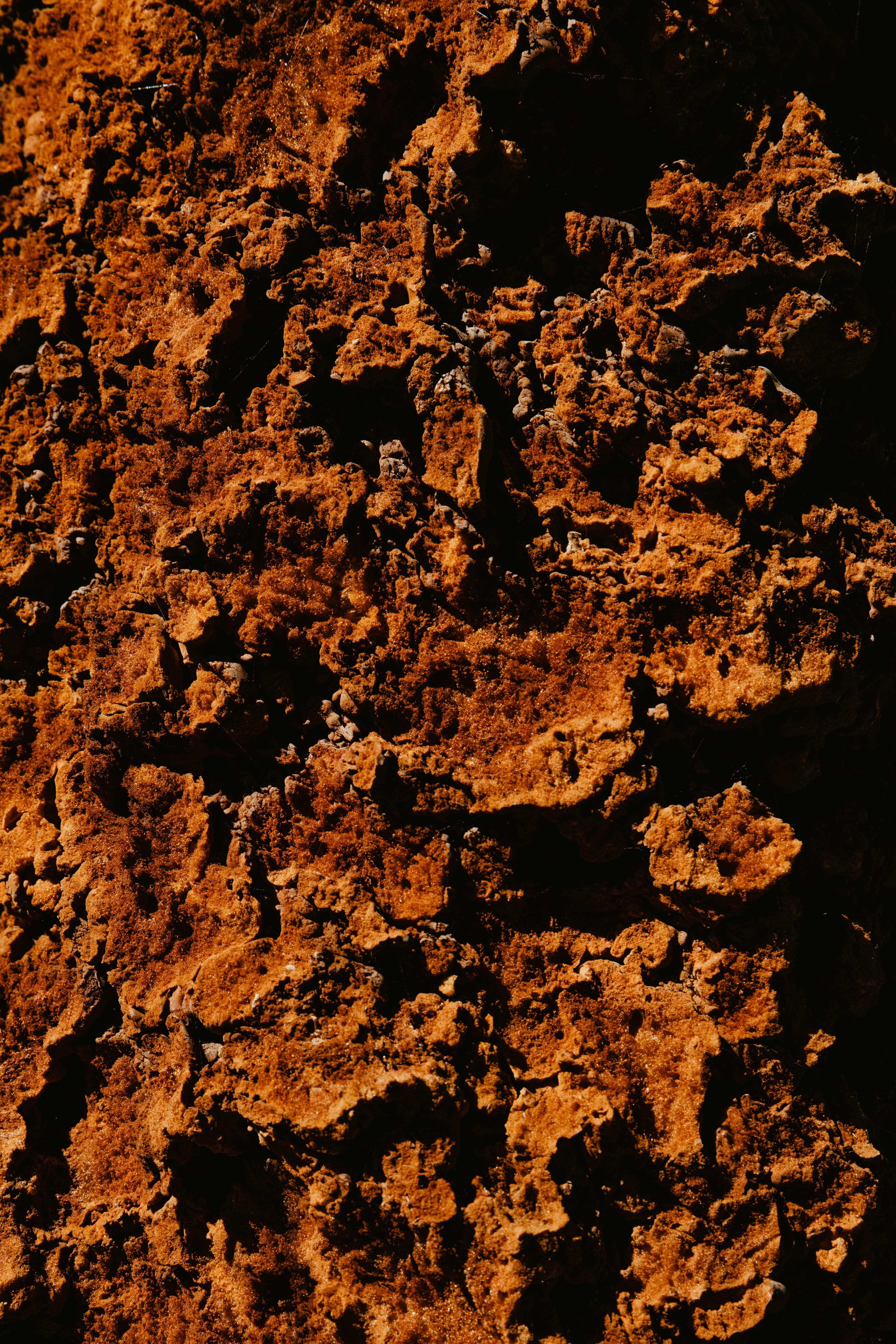 Bumpy Face Photos, Download The BEST Free Bumpy Face Stock Photos & HD ...