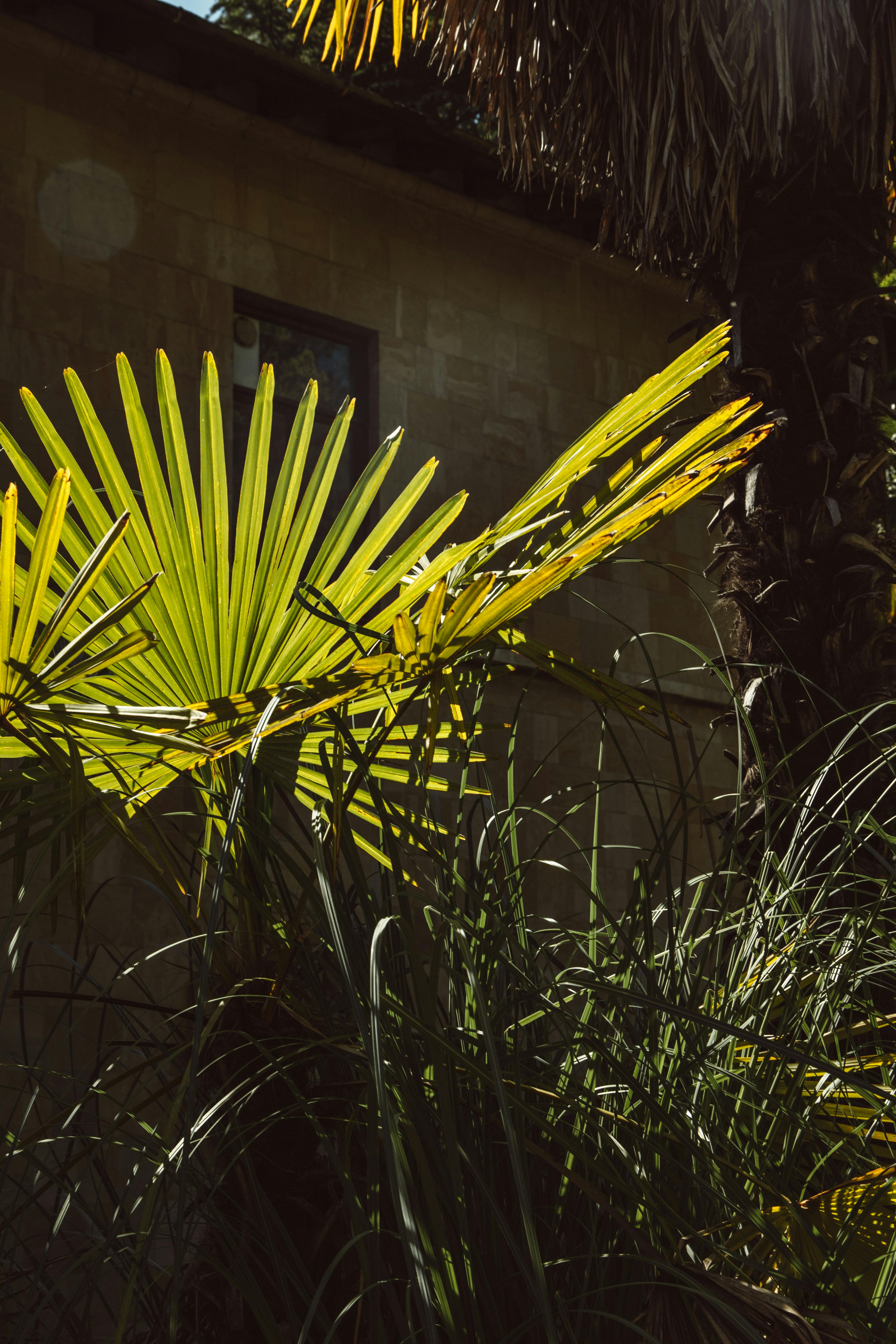 Vertikaler Garten