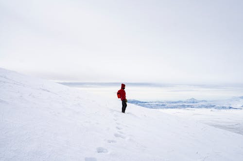 doğa, doğa aşığı, kar içeren Ücretsiz stok fotoğraf